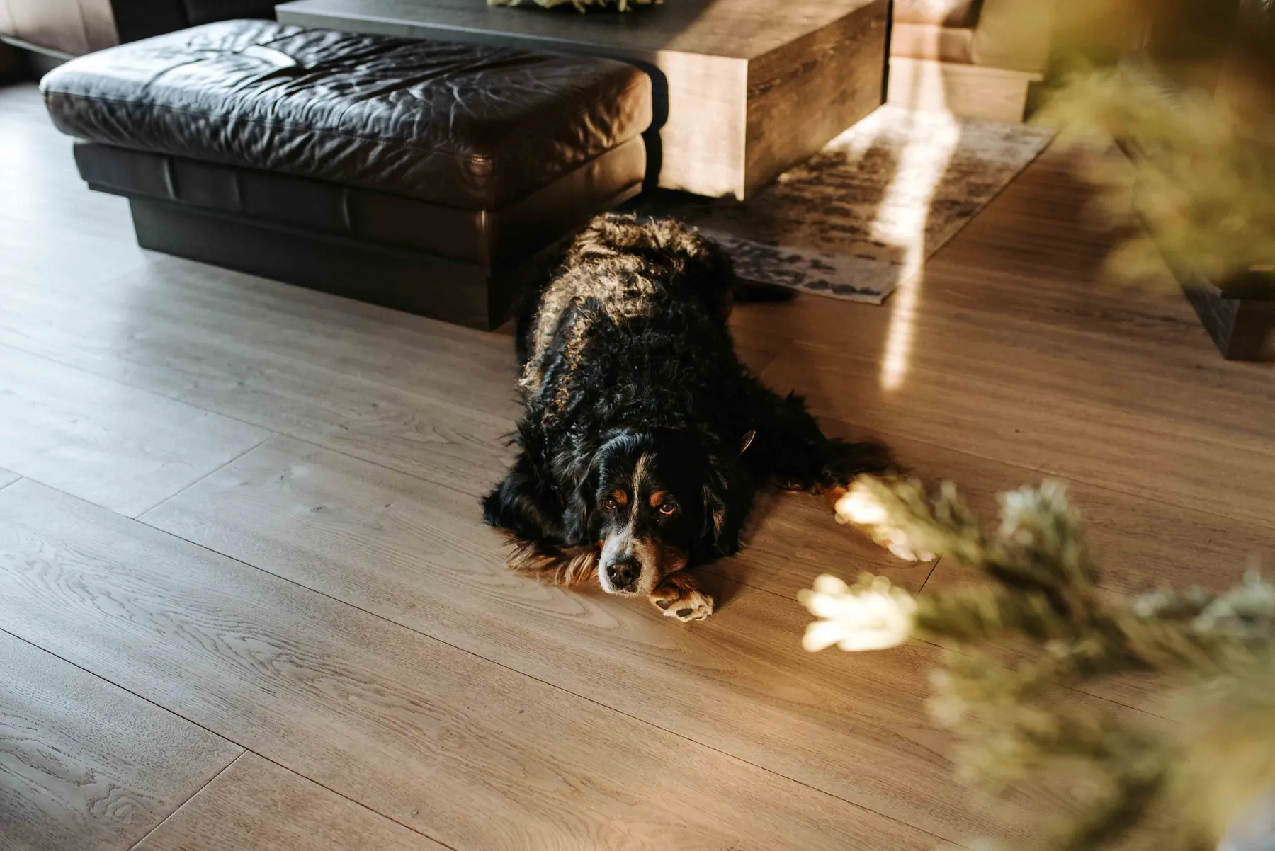 Grey-toned wide oak floor in a mountain residence